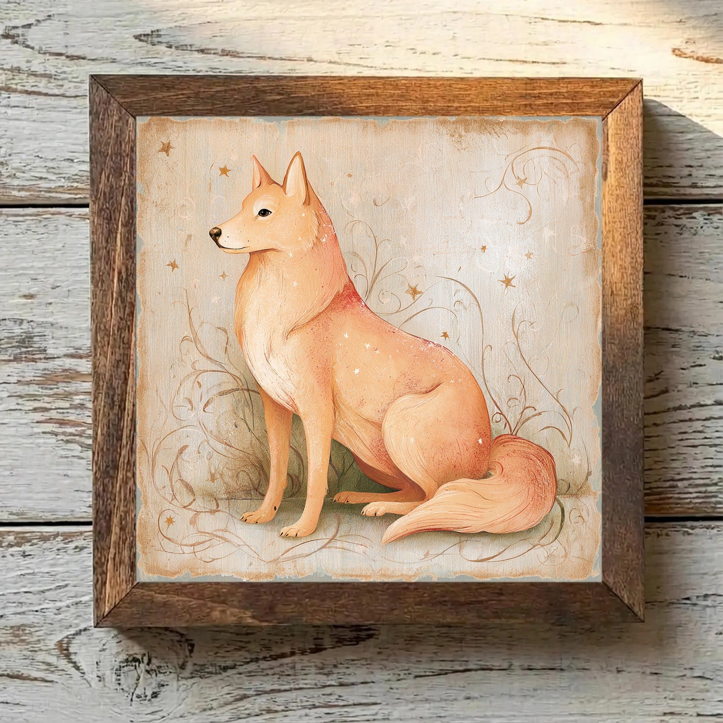 Finnish Spitz Golden-Red - Variation 4