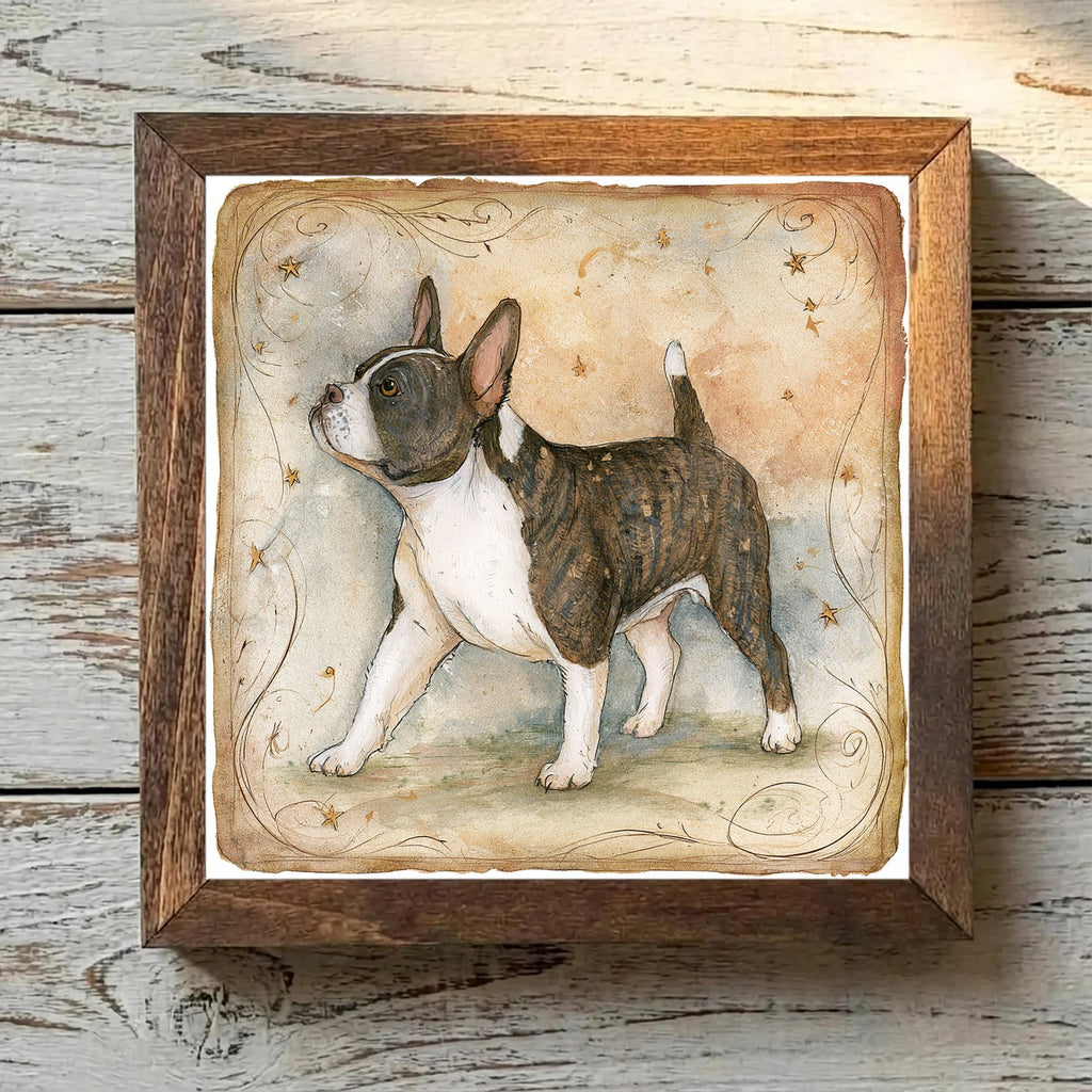 French Bulldog Brindle & White - Variation 3