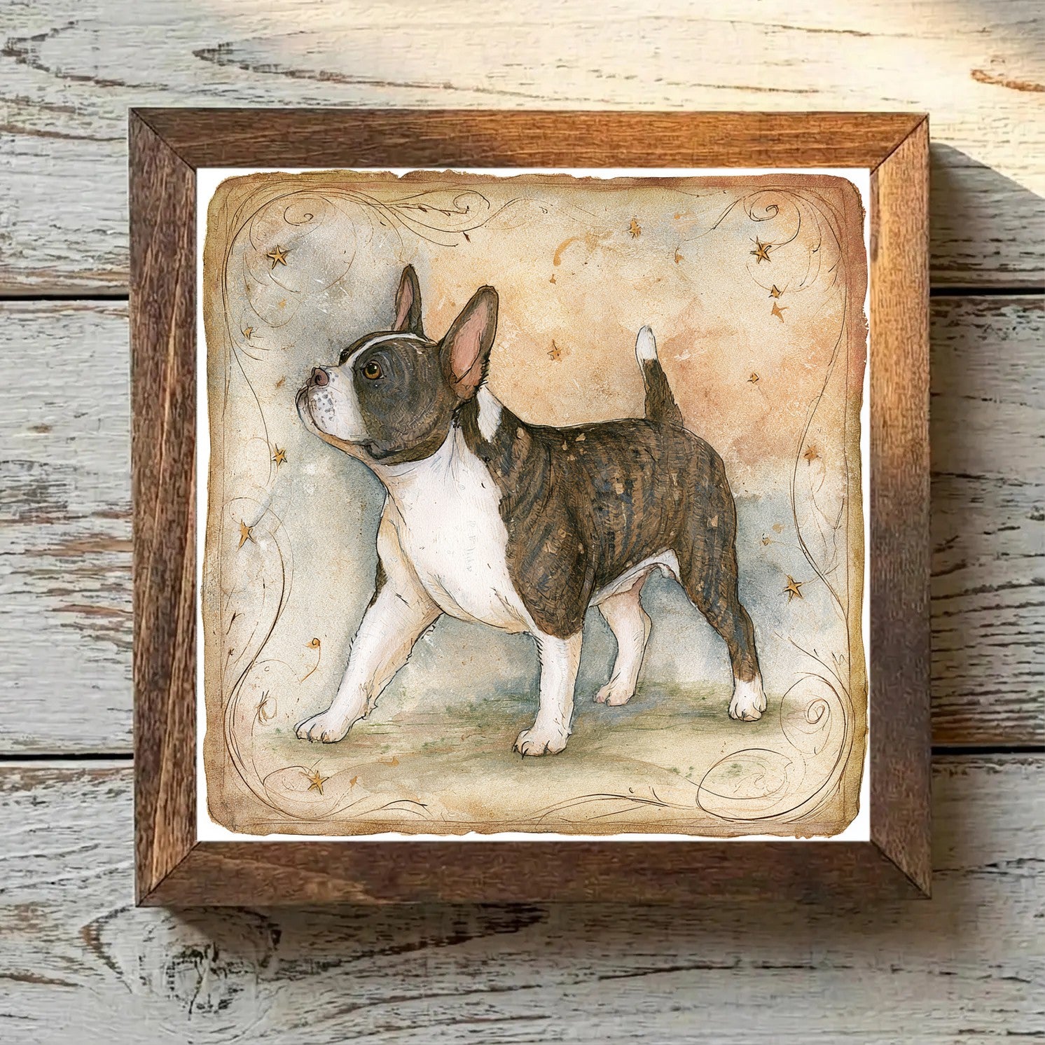 French Bulldog Brindle & White - Variation 3