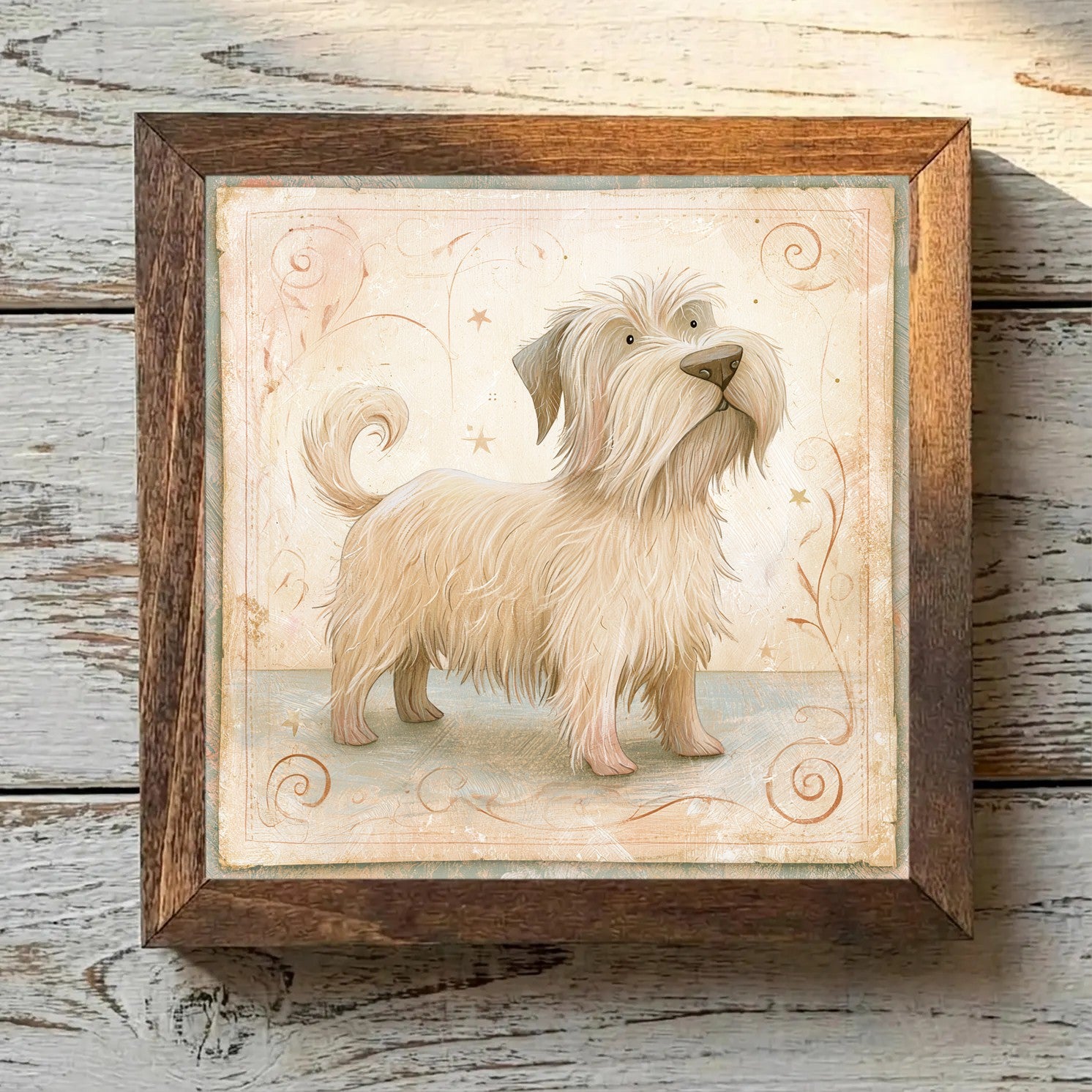 Glen of Imaal Terrier Wheaten - Variation 2