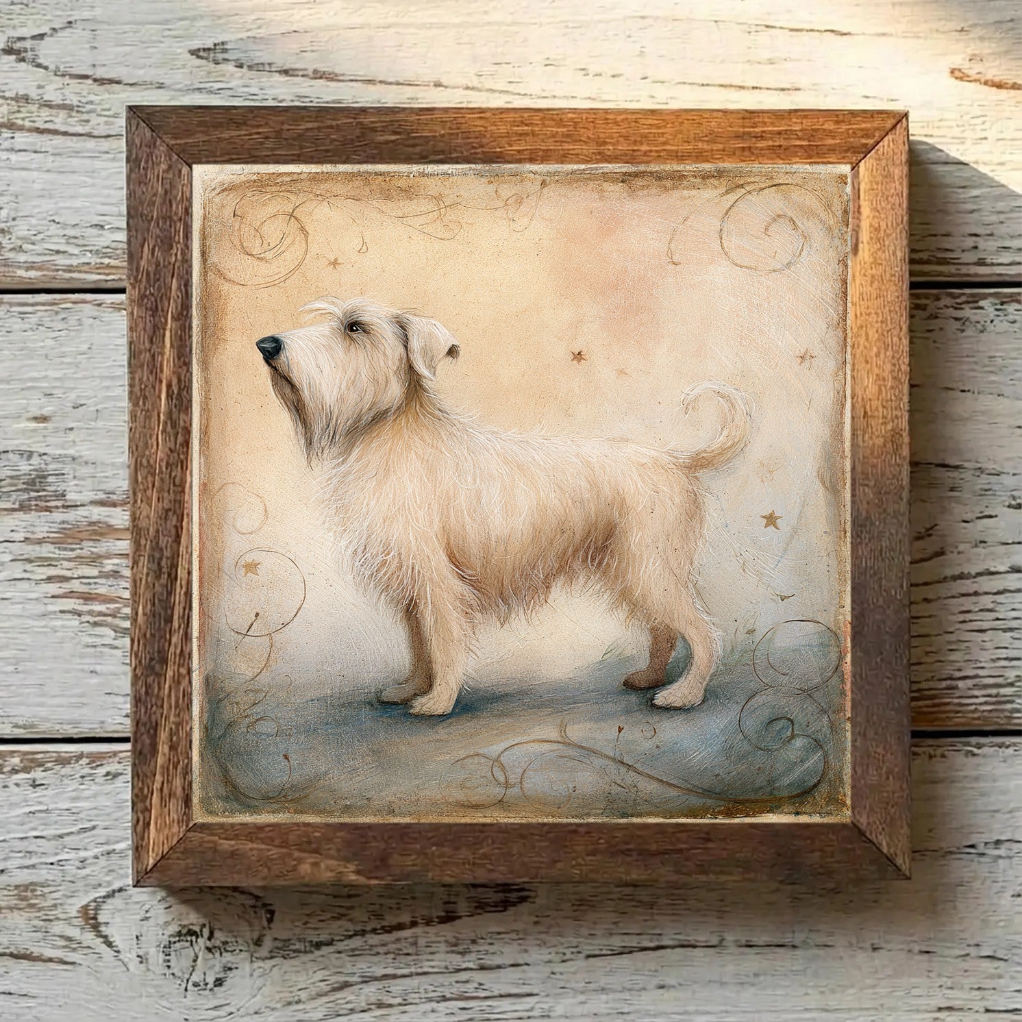 Glen of Imaal Terrier Wheaten - Variation 3