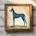 Great Dane Blue - Variation 1