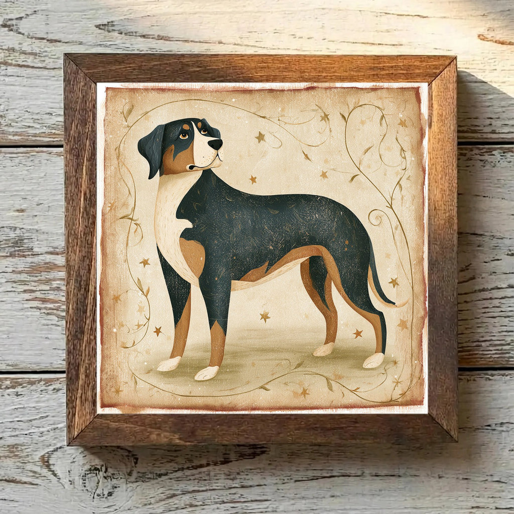 Greater Swiss Mountain Dog Tricolor - Variation 1