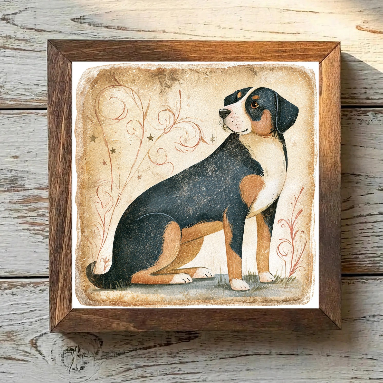 Greater Swiss Mountain Dog Tricolor - Variation 3