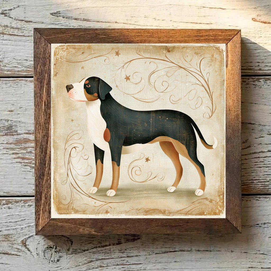Greater Swiss Mountain Dog Tricolor - Variation 4