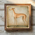 Greyhound Fawn - Variation 1