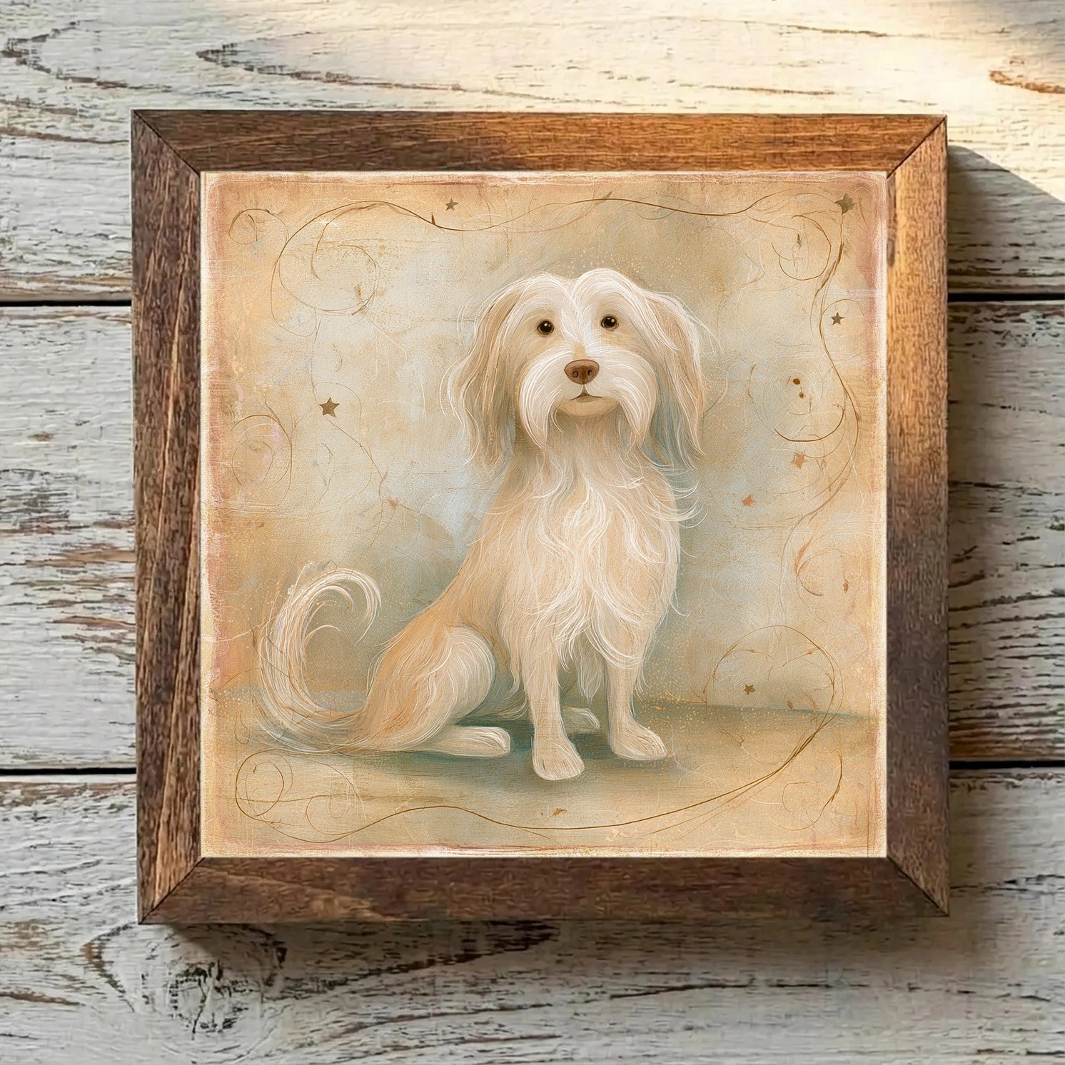 Havanese Gold - Variation 2