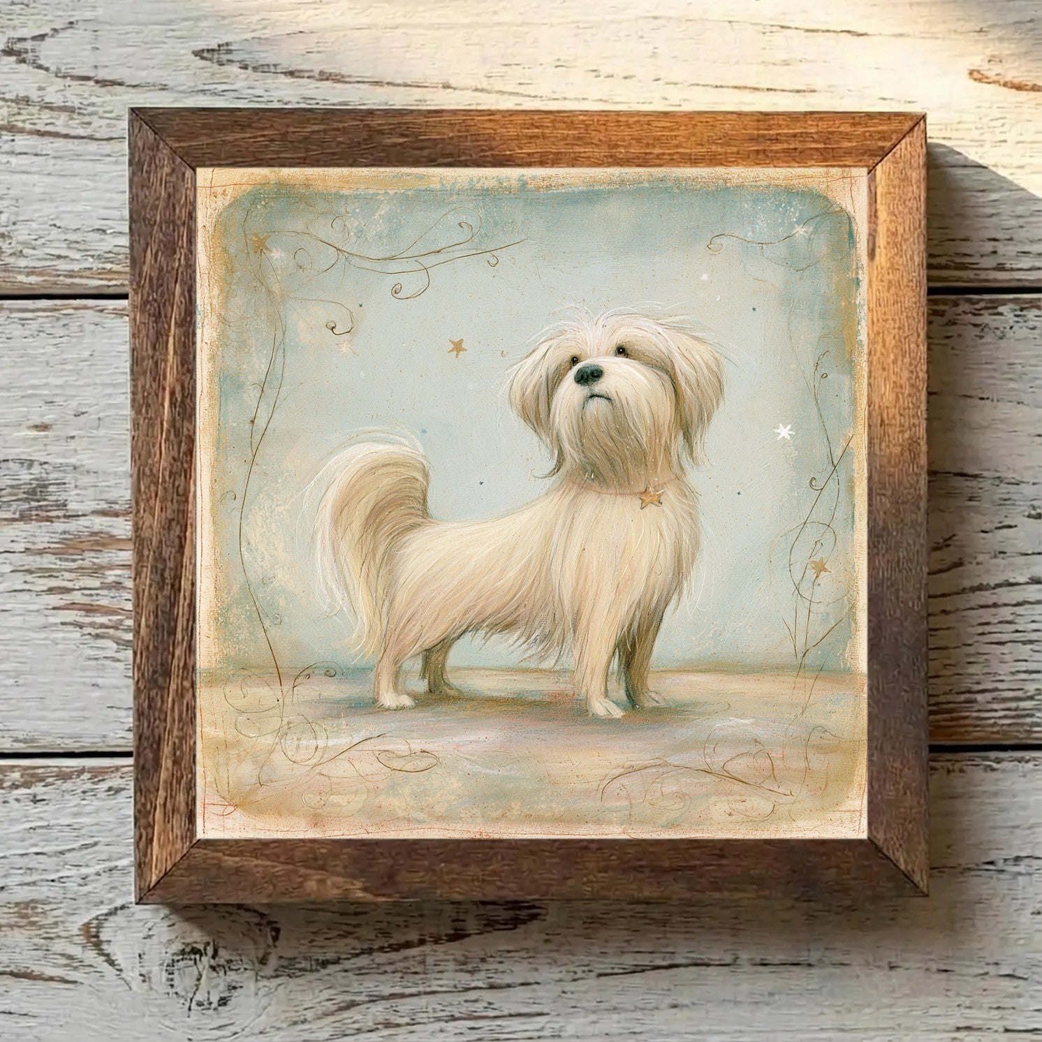 Havanese Gold - Variation 4