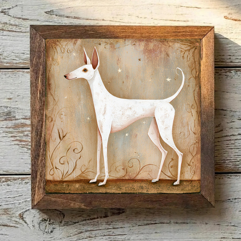 Ibizan Hound White - Variation 4