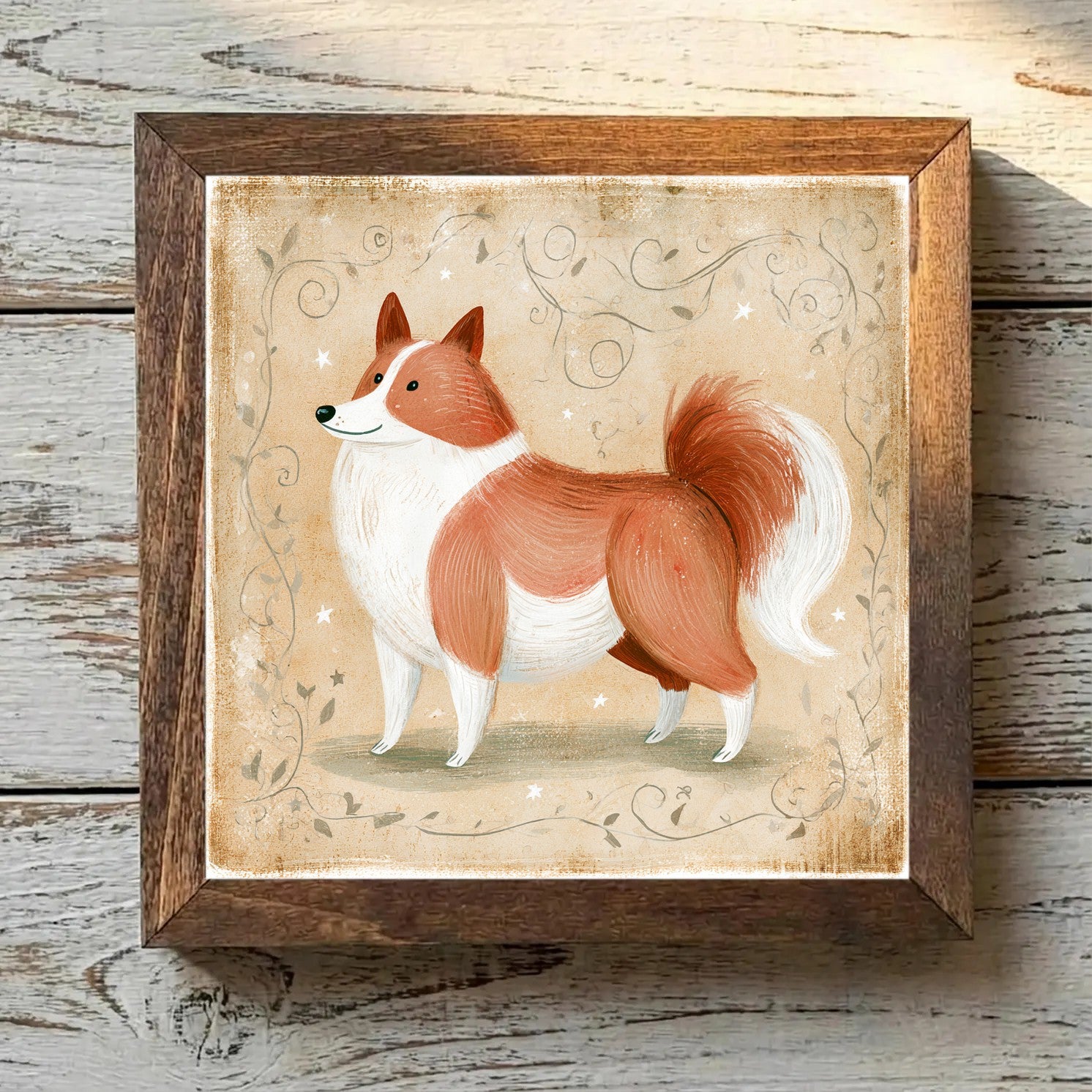 Icelandic Sheepdog - Reddish-Brown &
  White Reddish-Brown & White - Variation 2