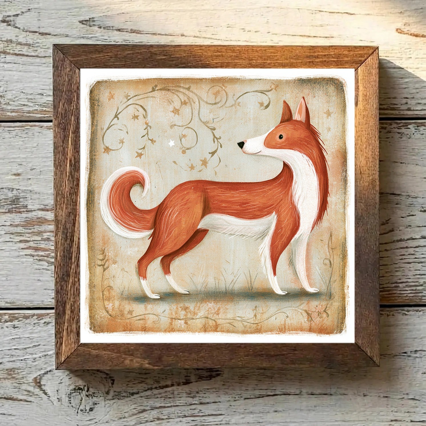 Icelandic Sheepdog - Reddish-Brown &
  White Reddish-Brown & White - Variation 3