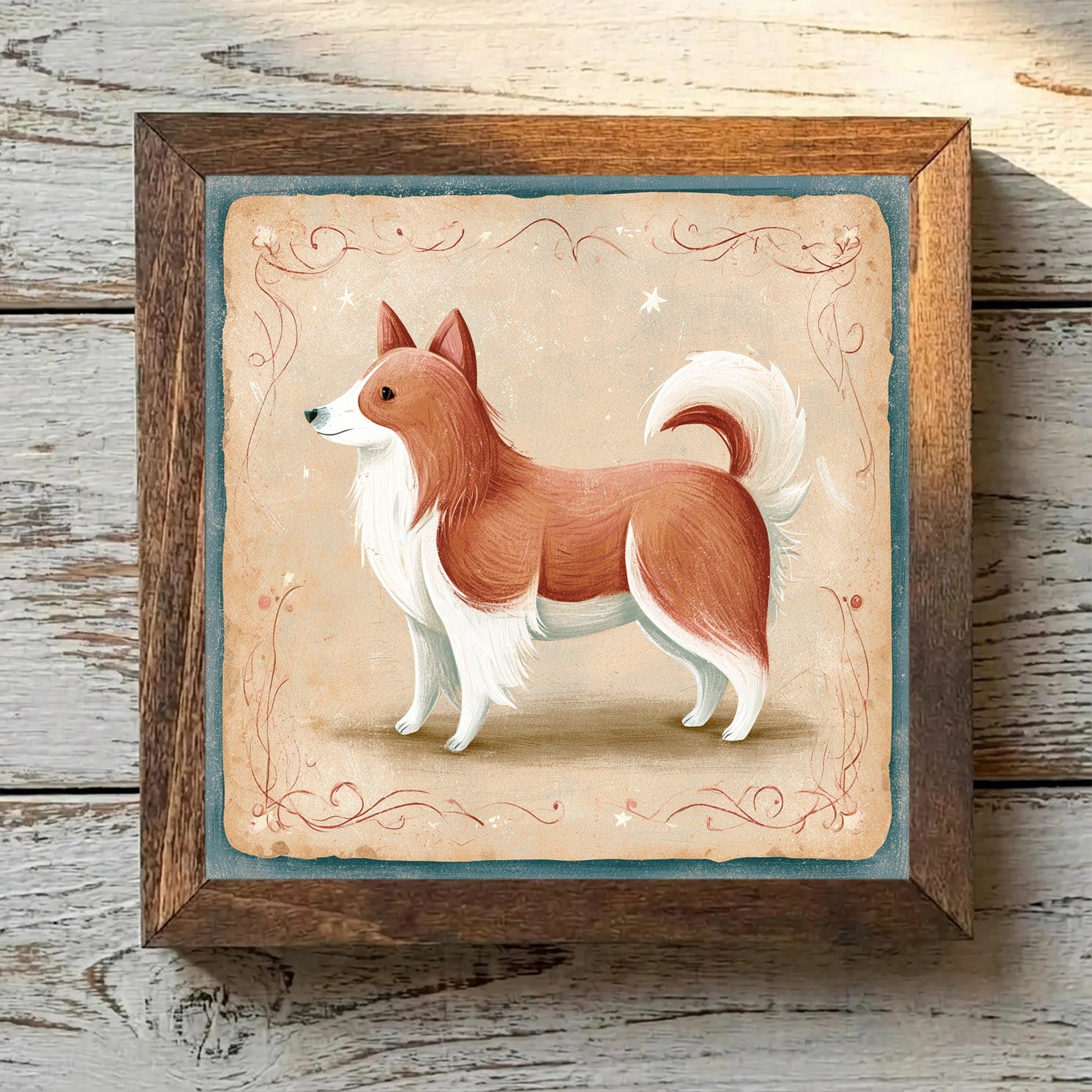 Icelandic Sheepdog - Reddish-Brown &
  White Reddish-Brown & White - Variation 4