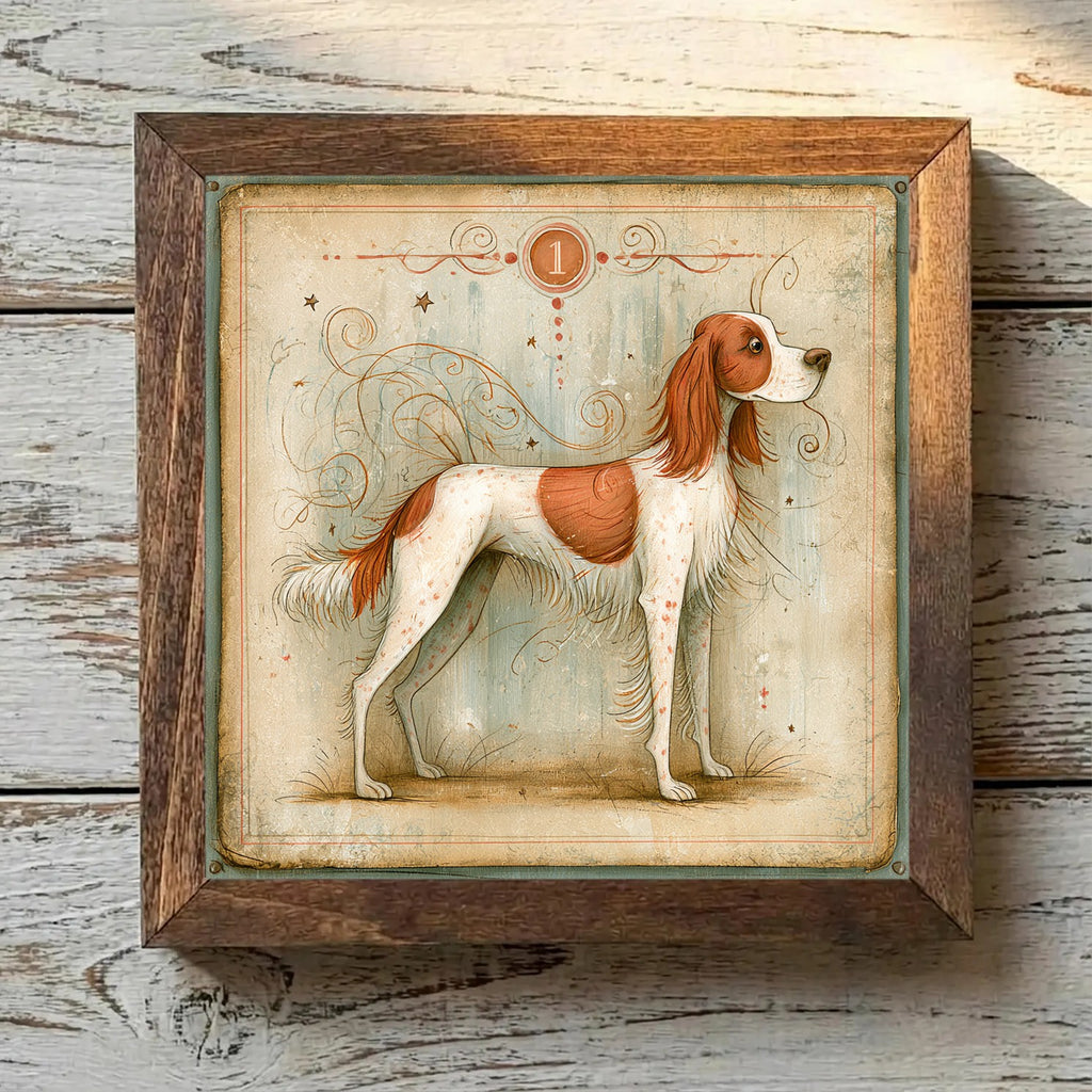 Irish Red and White Setter Red & White - Variation 1