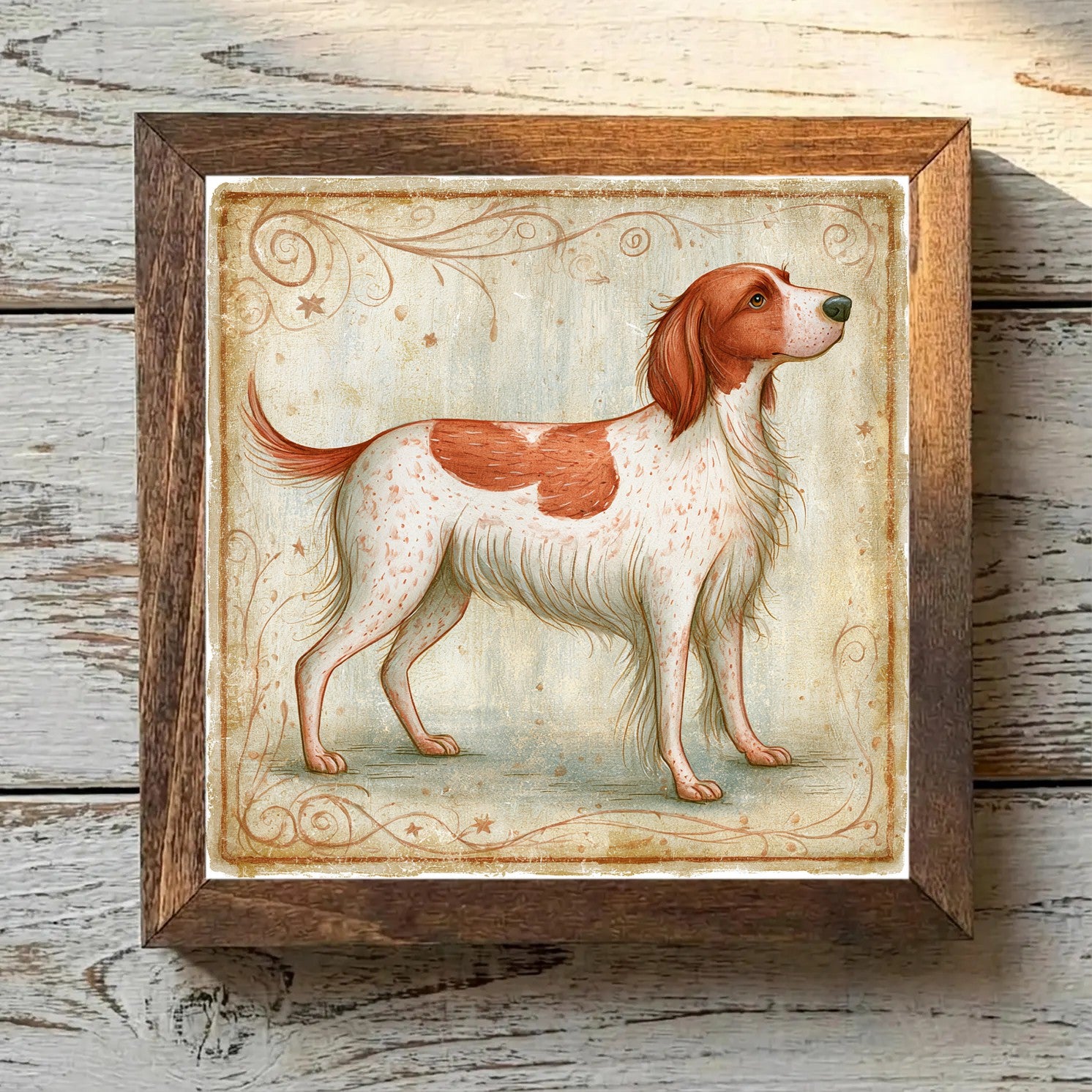Irish Red and White Setter Red & White - Variation 2