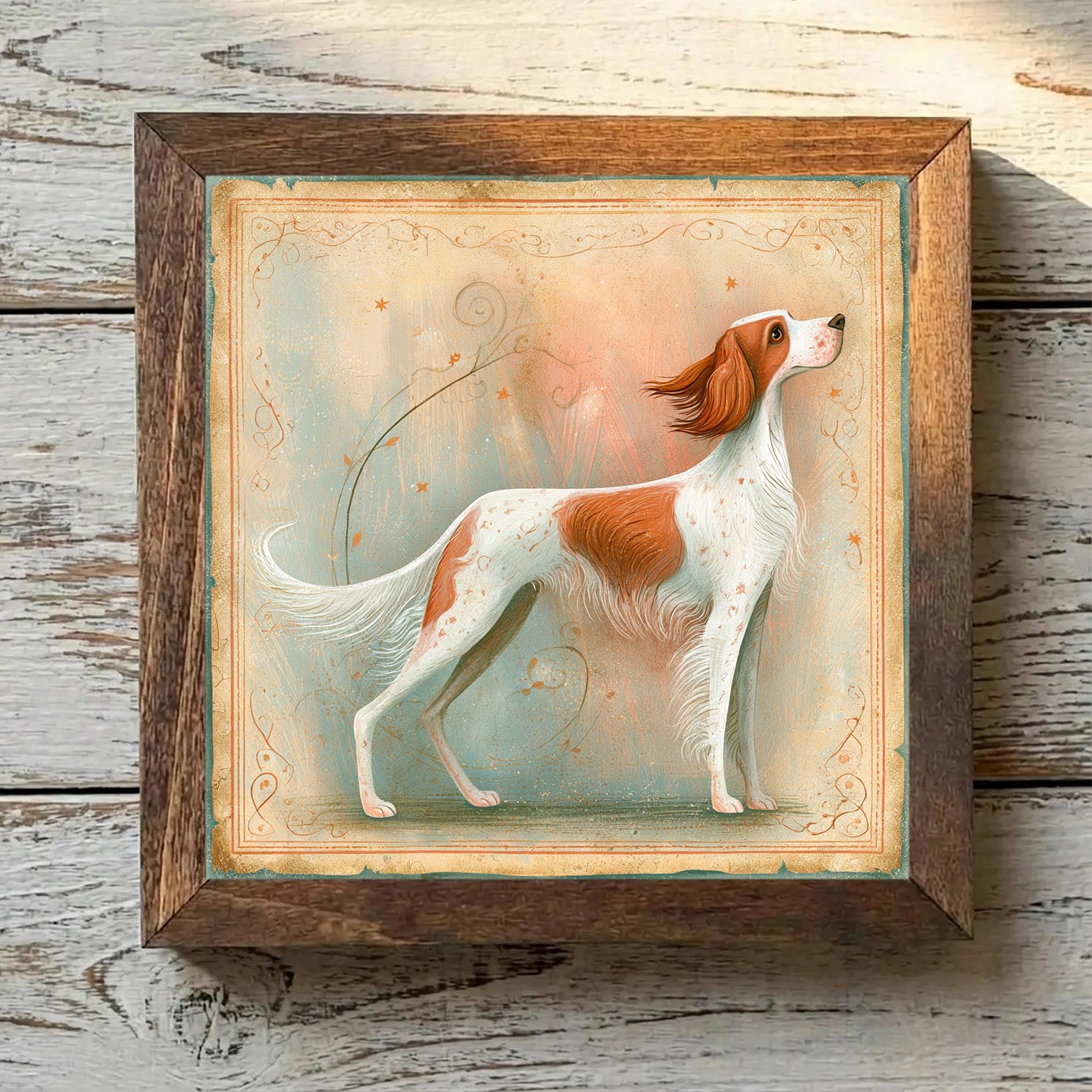 Irish Red and White Setter Red & White - Variation 4