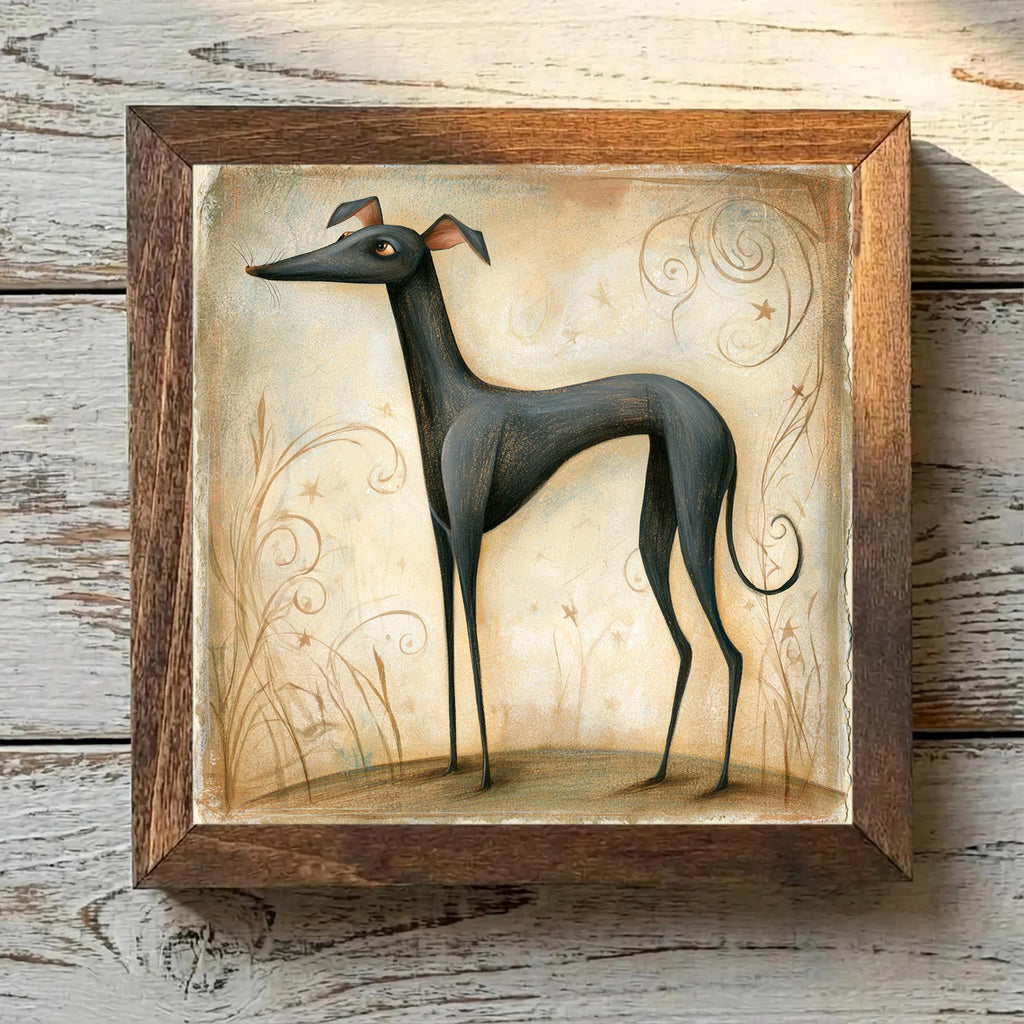 Italian Greyhound Black - Variation 4