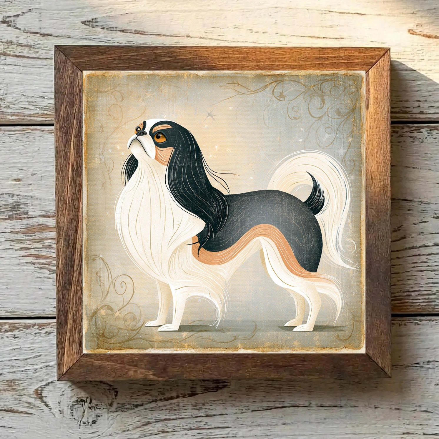 Japanese Chin - Black & White with
  Tan Points Black & White with Tan Points - Variation 1