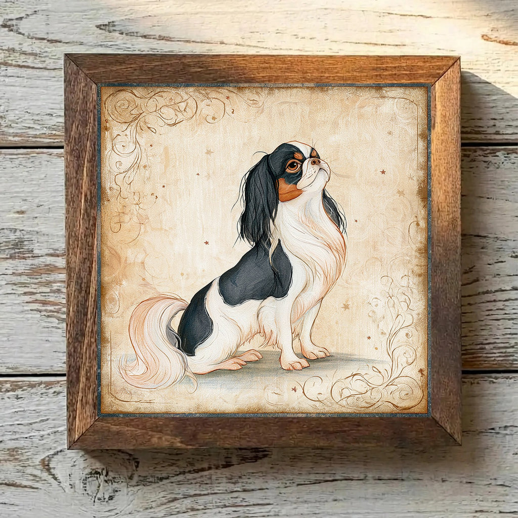 Japanese Chin - Black & White with
  Tan Points Black & White with Tan Points - Variation 2