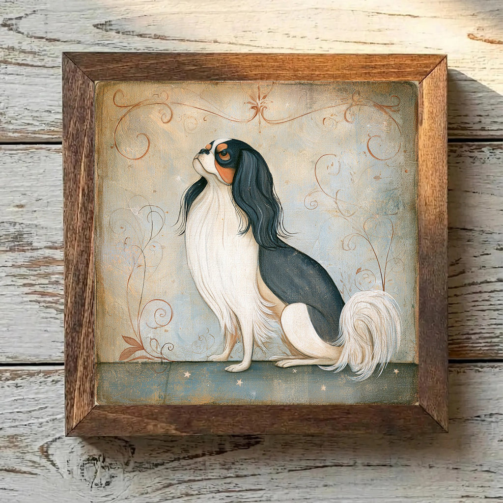 Japanese Chin - Black & White with
  Tan Points Black & White with Tan Points - Variation 3