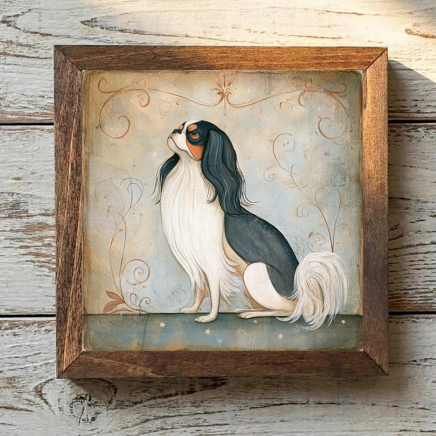 Japanese Chin - Black & White with
  Tan Points Black & White with Tan Points - Variation 3