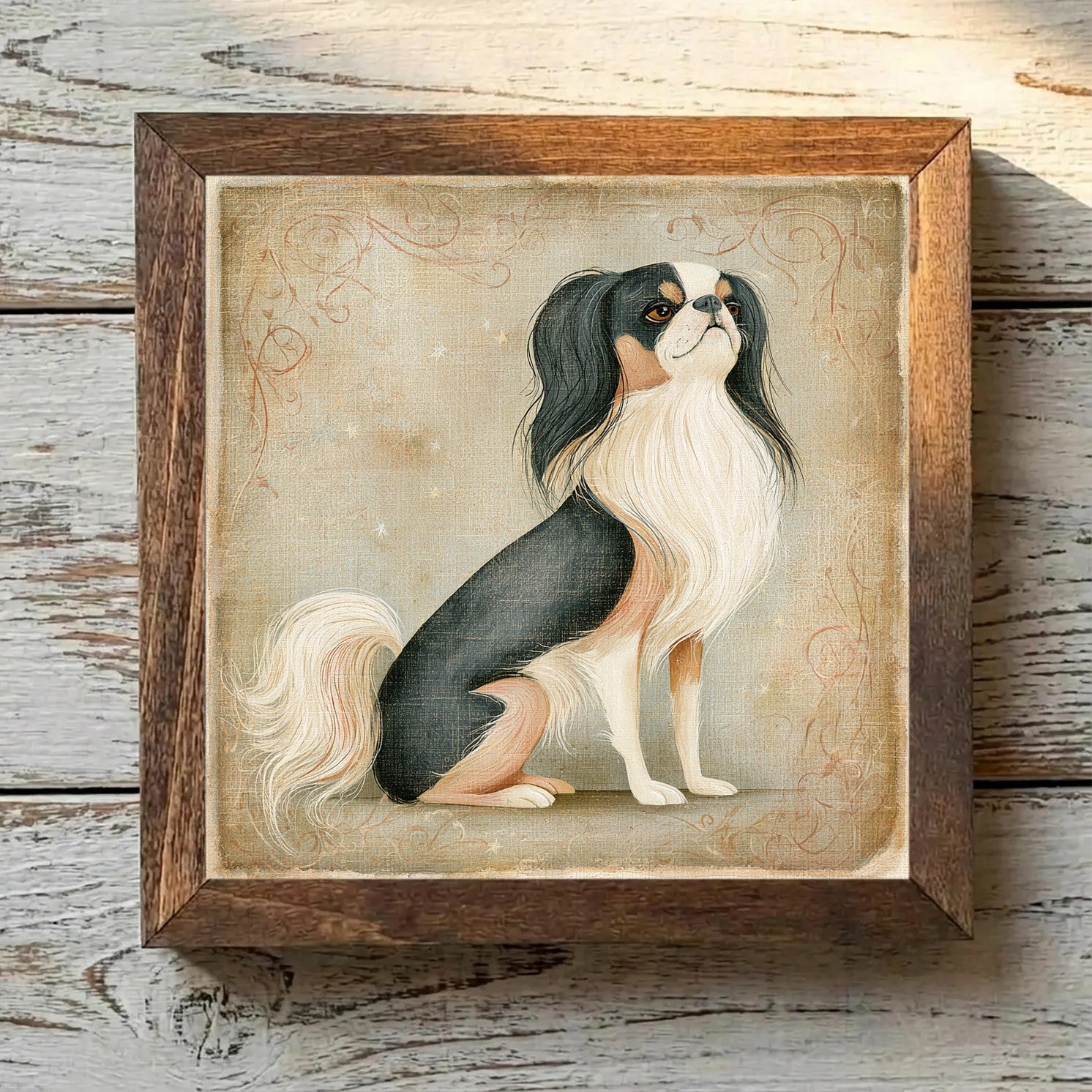 Japanese Chin - Black & White with
  Tan Points Black & White with Tan Points - Variation 4