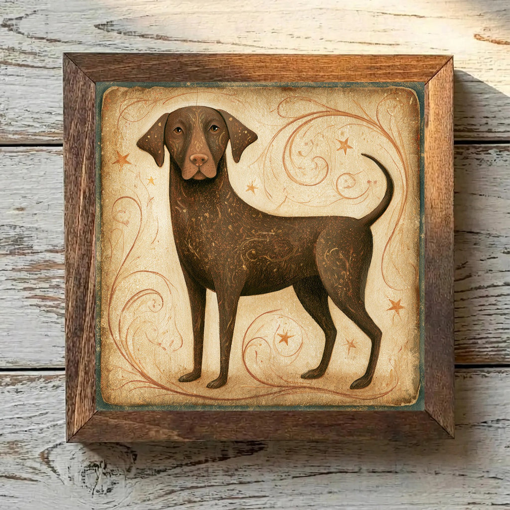 Labrador Retriever Chocolate - Variation 2