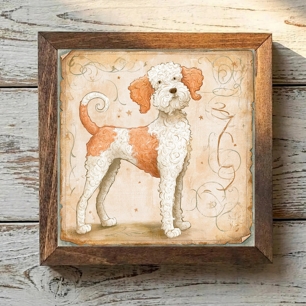 Lagotto Romagnolo White & Orange - Variation 1
