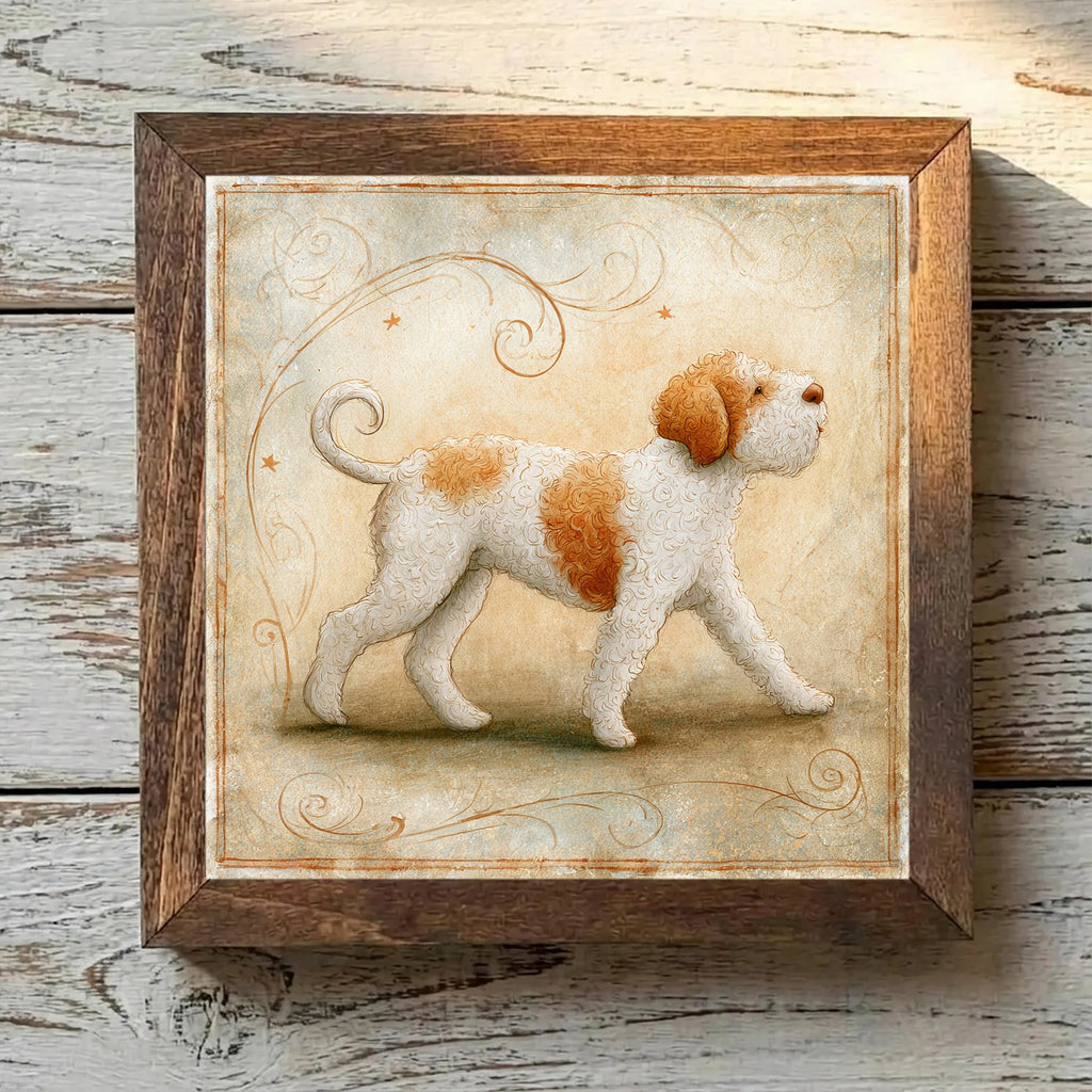 Lagotto Romagnolo White & Orange - Variation 2