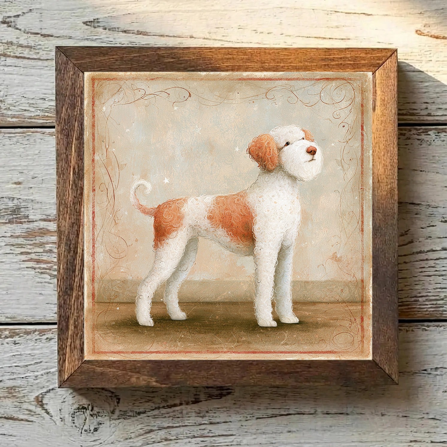 Lagotto Romagnolo White & Orange - Variation 3