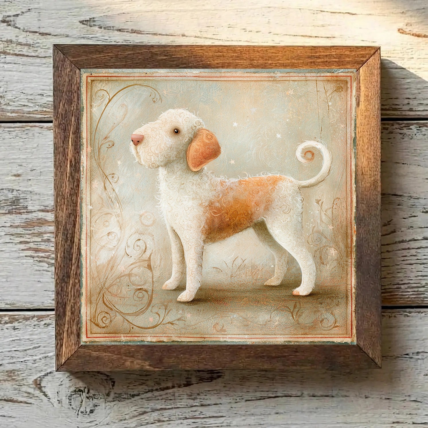 Lagotto Romagnolo White & Orange - Variation 4