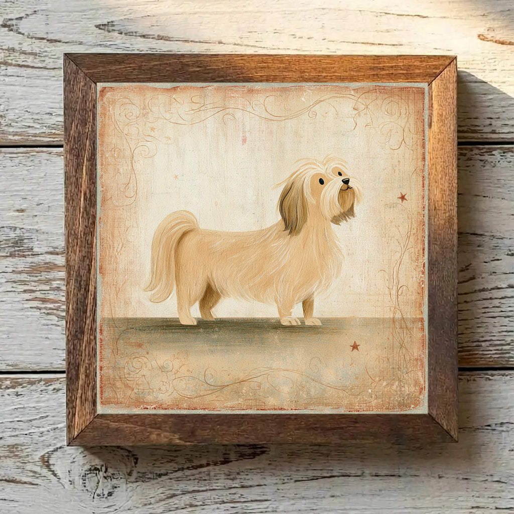 Lhasa Apso Golden - Variation 1