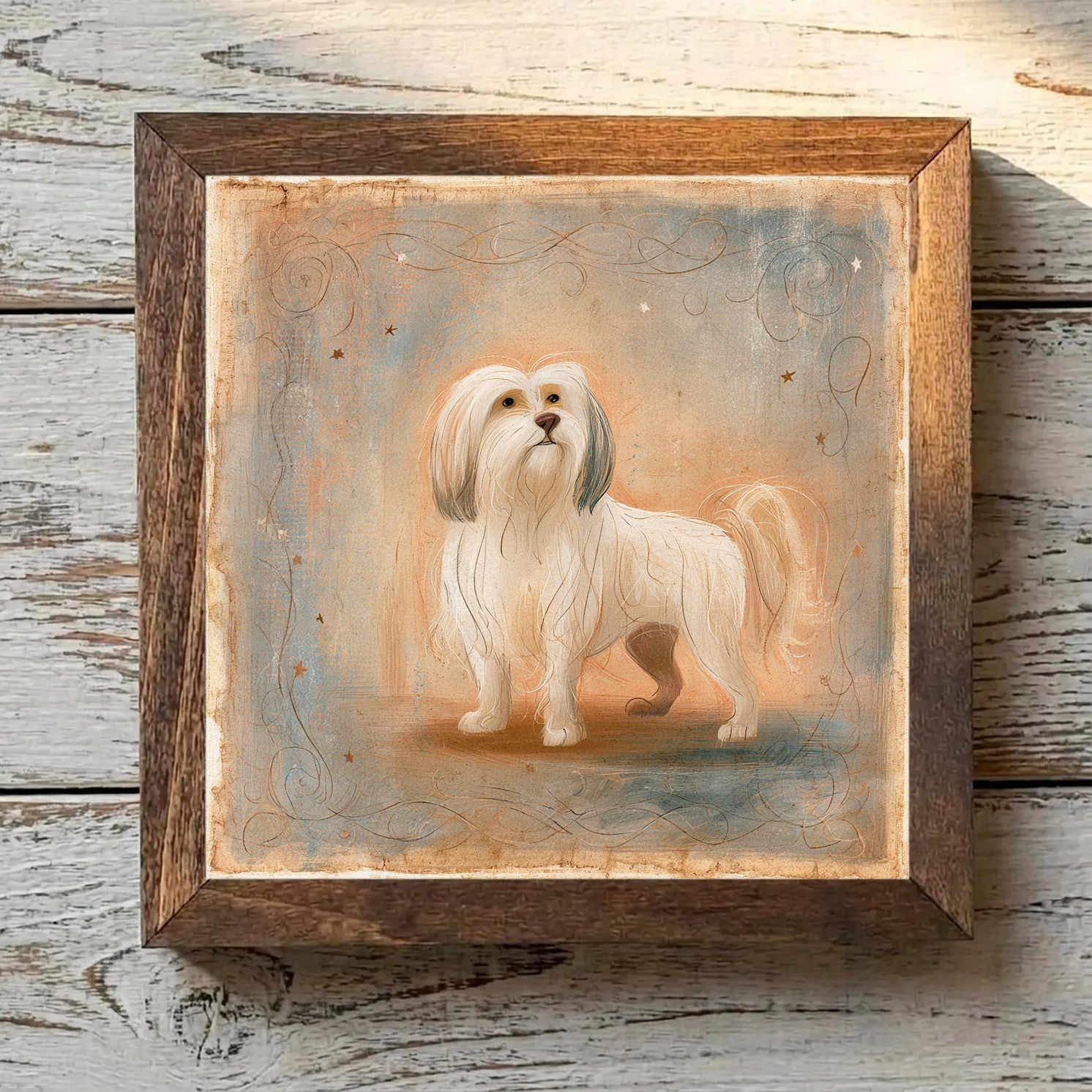 Lhasa Apso Golden - Variation 2