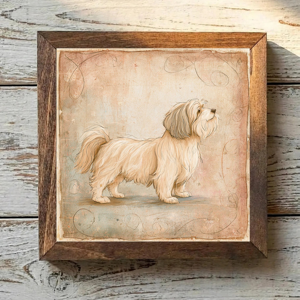 Lhasa Apso Golden - Variation 3