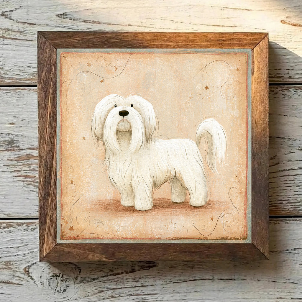 Lhasa Apso White - Variation 3