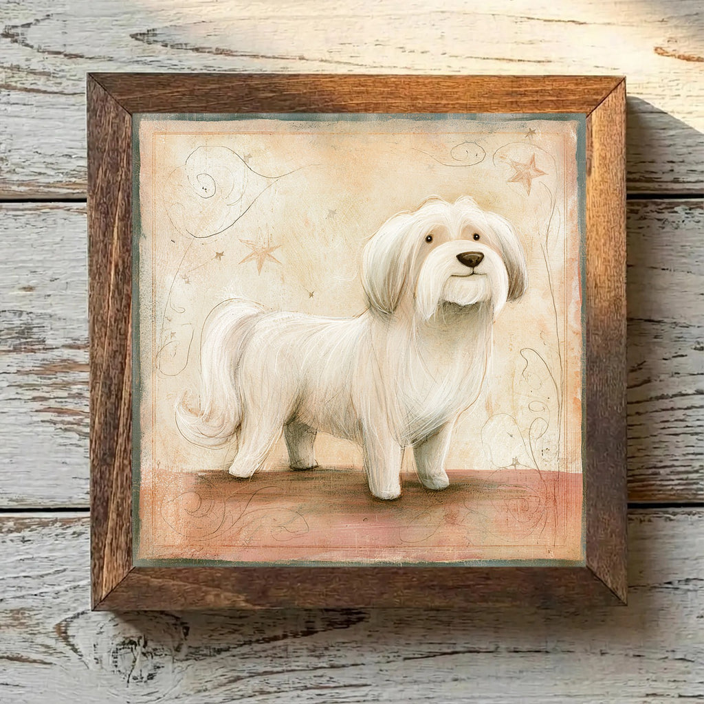 Lhasa Apso White - Variation 4