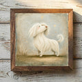 Maltese White - Variation 1