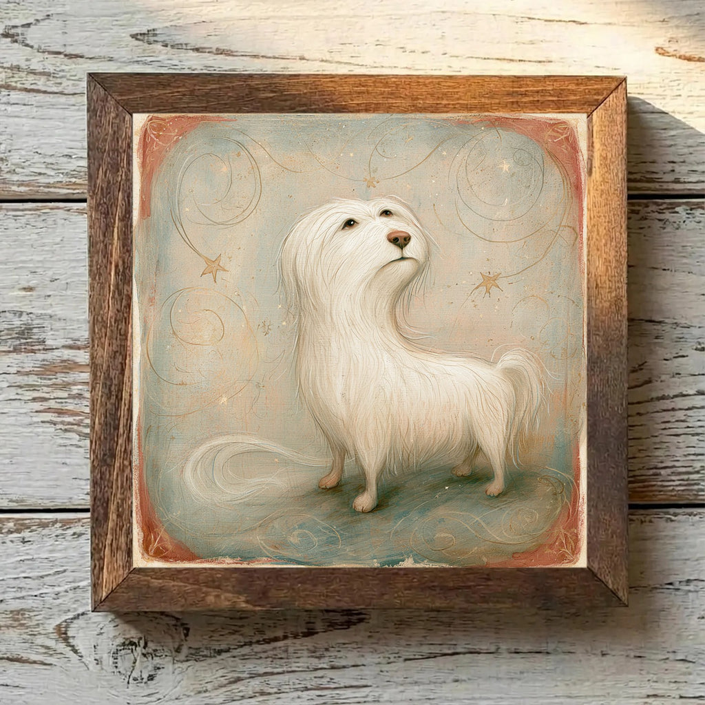 Maltese White - Variation 3