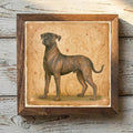 Mastiff Brindle - Variation 1
