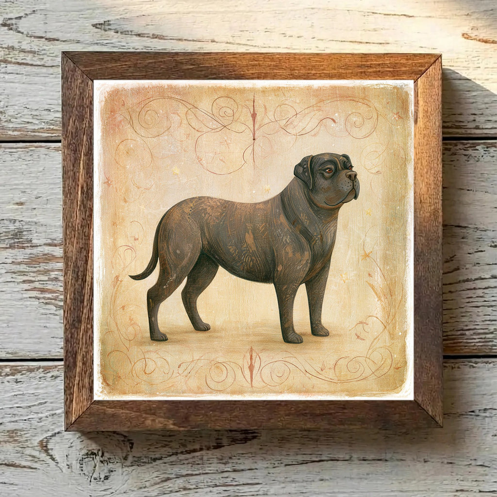 Mastiff Brindle - Variation 3