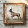 Miniature Bull Terrier Brindle - Variation 1