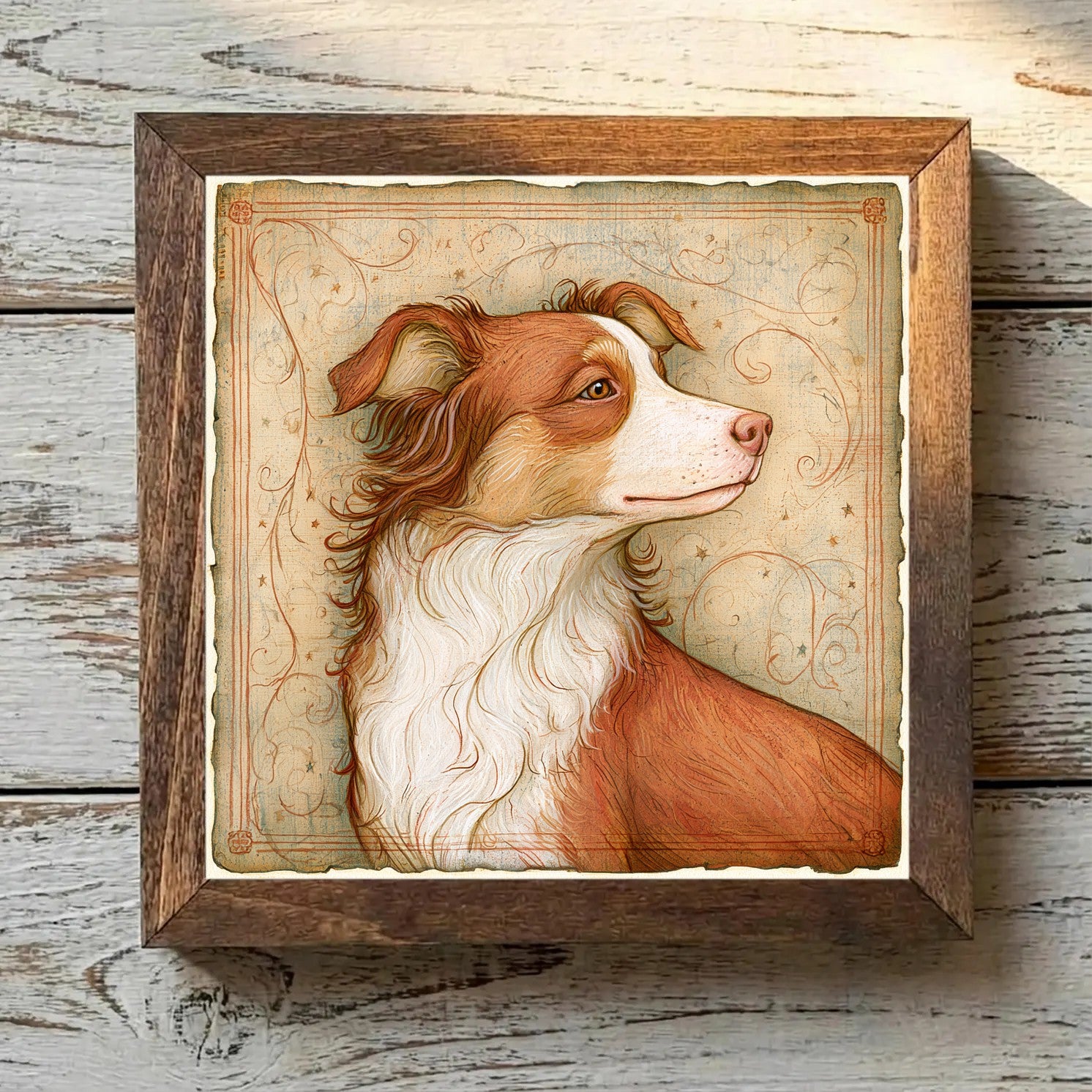 Miniature American Shepherd Red - Variation 1