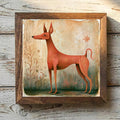 Miniature Pinscher Red - Variation 1