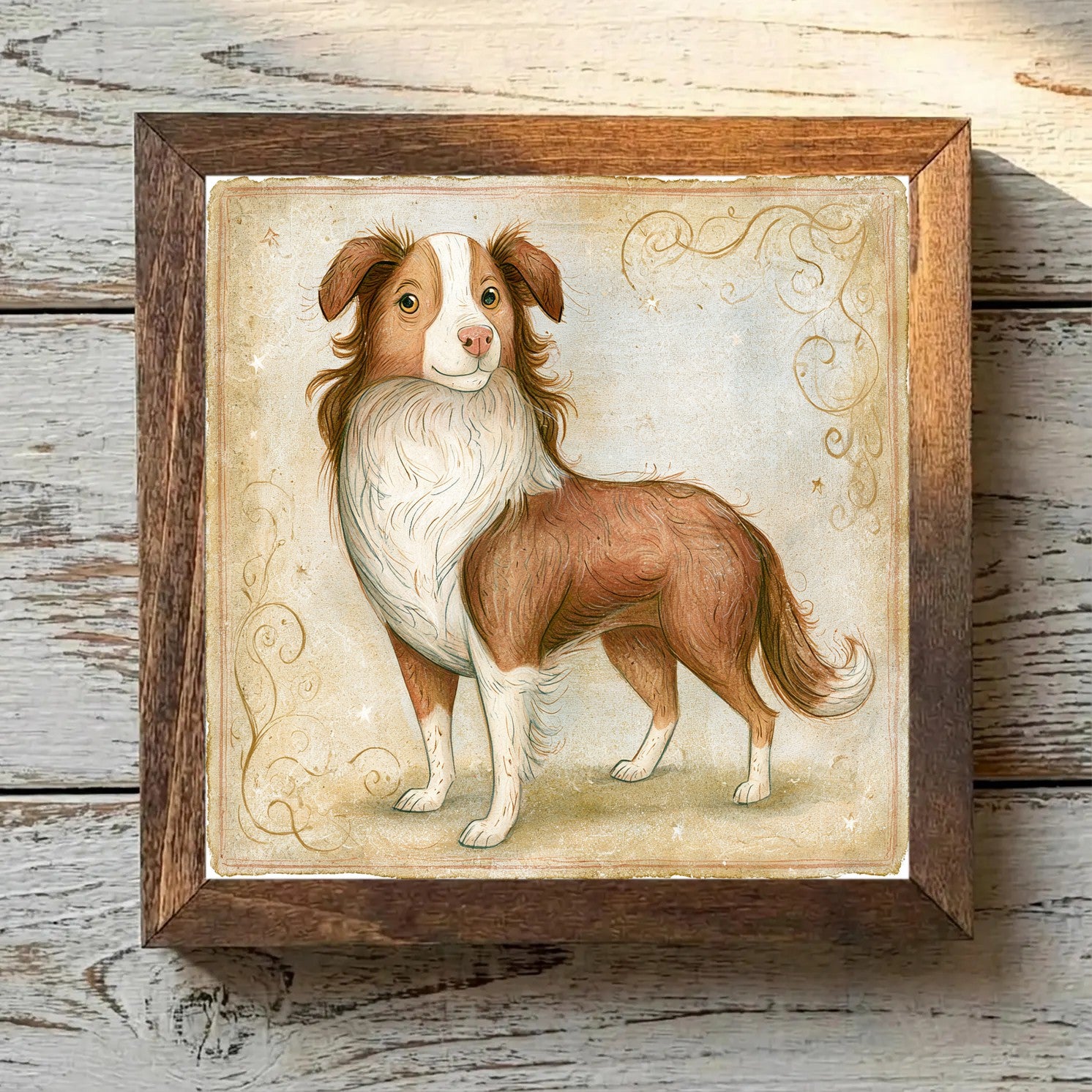 Miniature American Shepherd Red - Variation 4