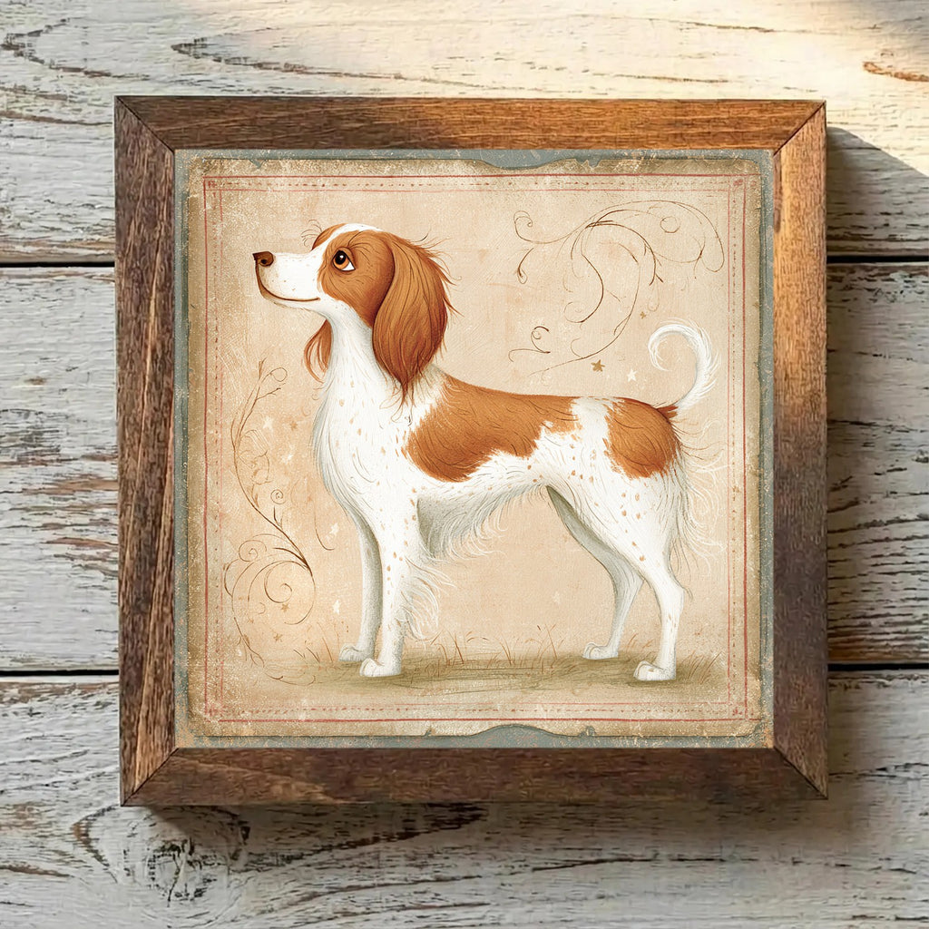 Nederlandse Kooikerhondje White & Red - Variation 2