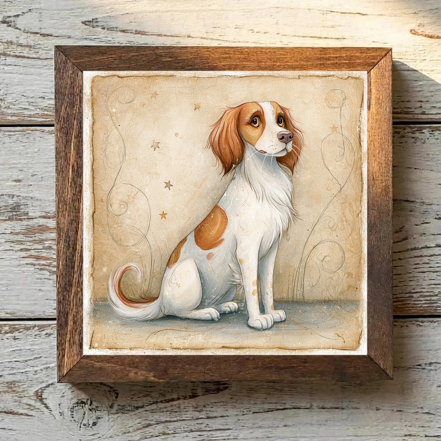 Nederlandse Kooikerhondje White & Red - Variation 4