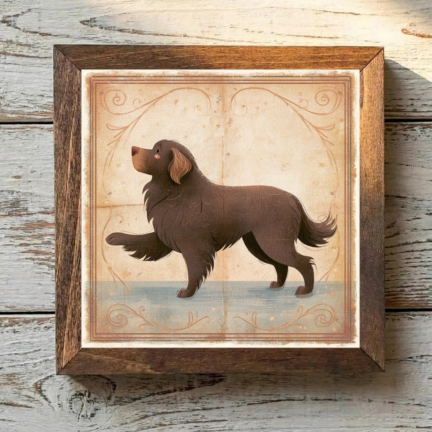 Newfoundland Brown - Variation 1