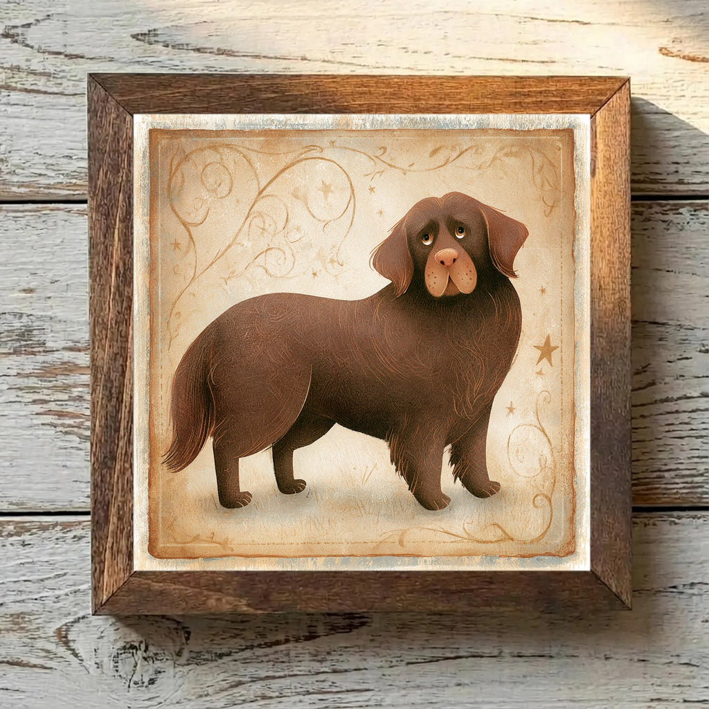 Newfoundland Brown - Variation 2