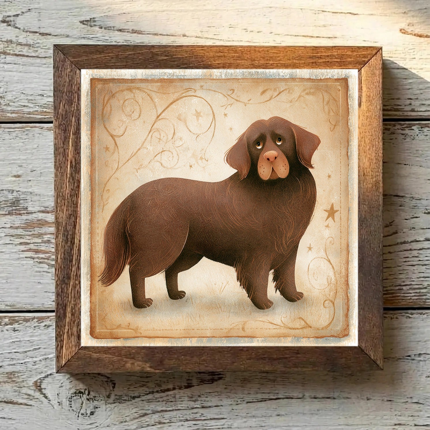 Newfoundland Brown - Variation 2