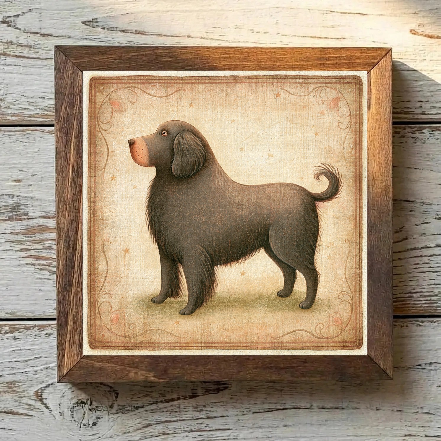 Newfoundland Brown - Variation 3