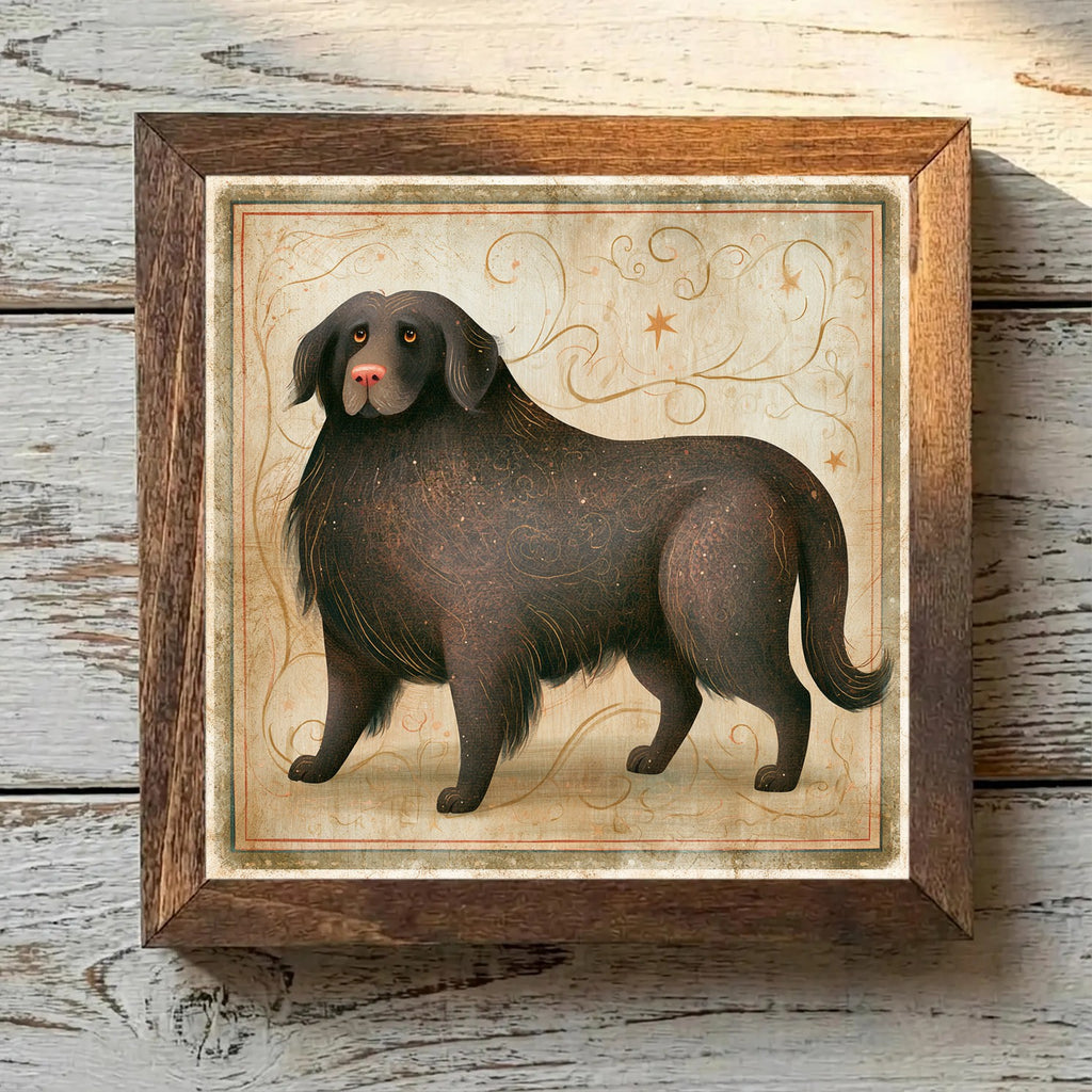 Newfoundland Brown - Variation 4